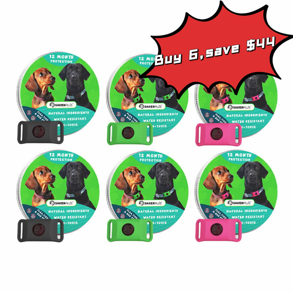 12 Months Flea and Tick Free