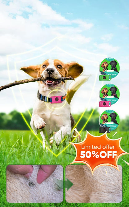 12 Months Flea and Tick Free