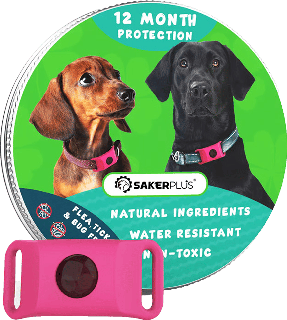12 Months Flea and Tick Free